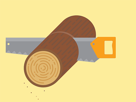 What is timber in construction