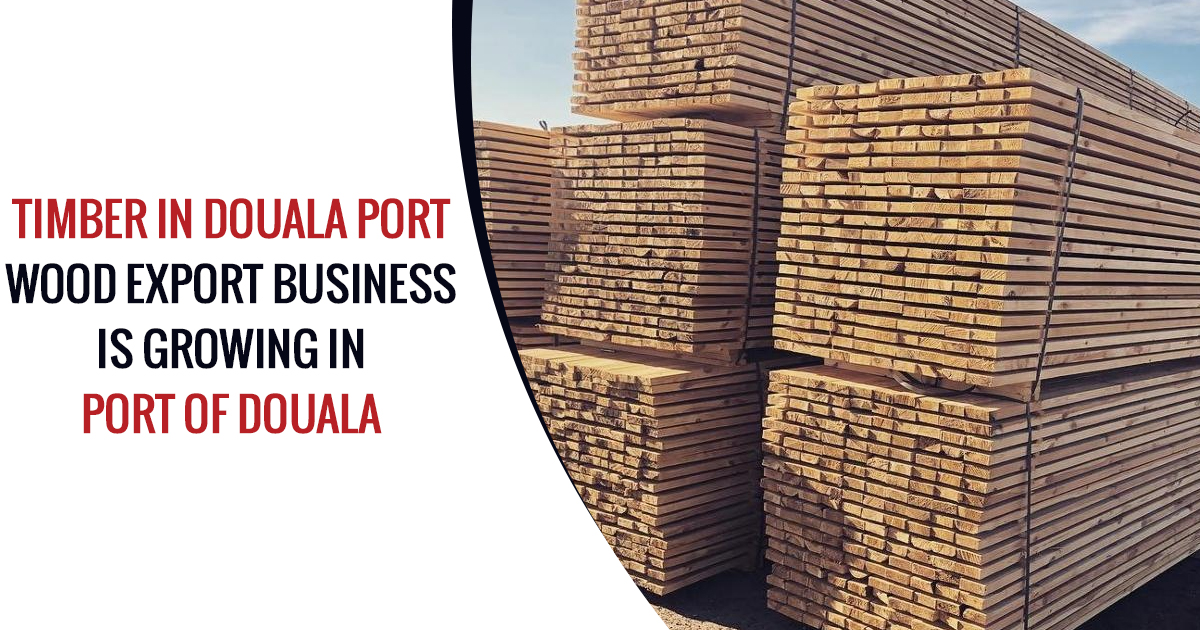 Timber in Douala Port