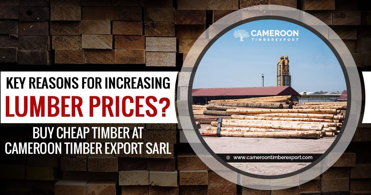 key reasons for increasing lumber prices