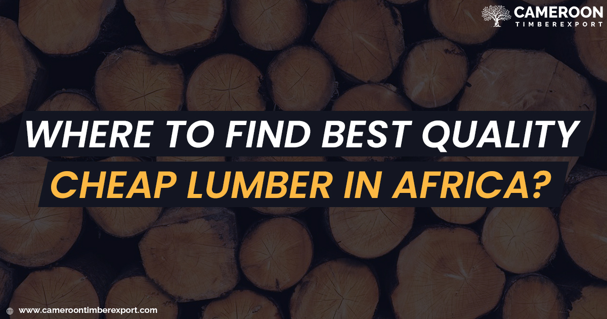 where to find cheap lumber