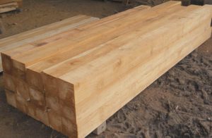 indian teak wood