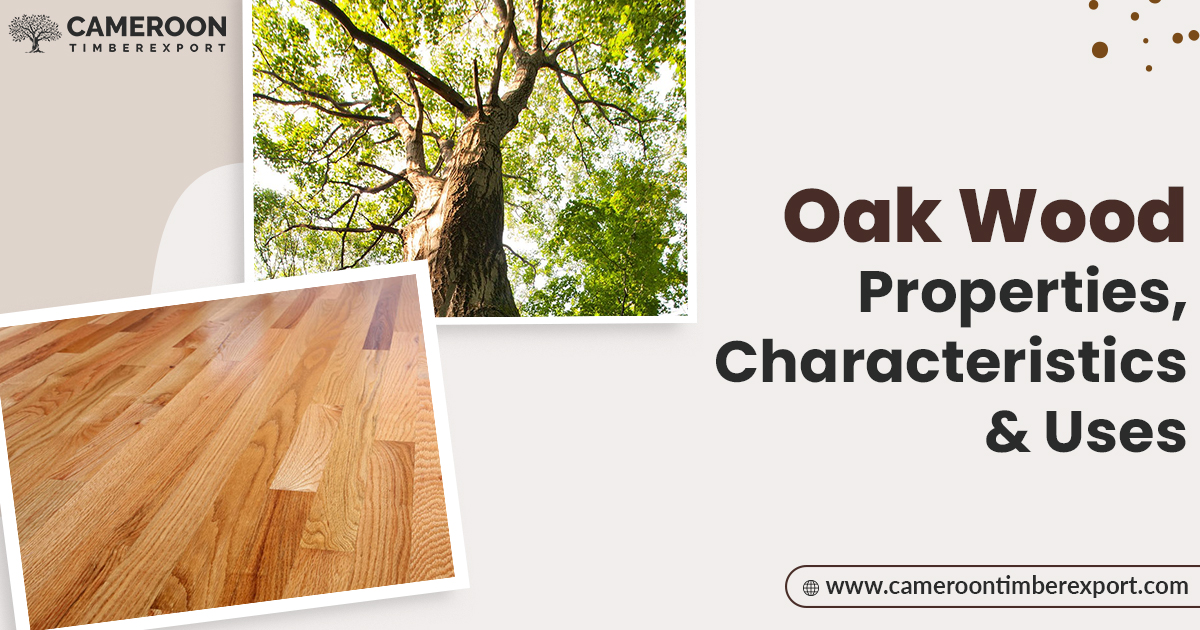 oak wood properties characteristics