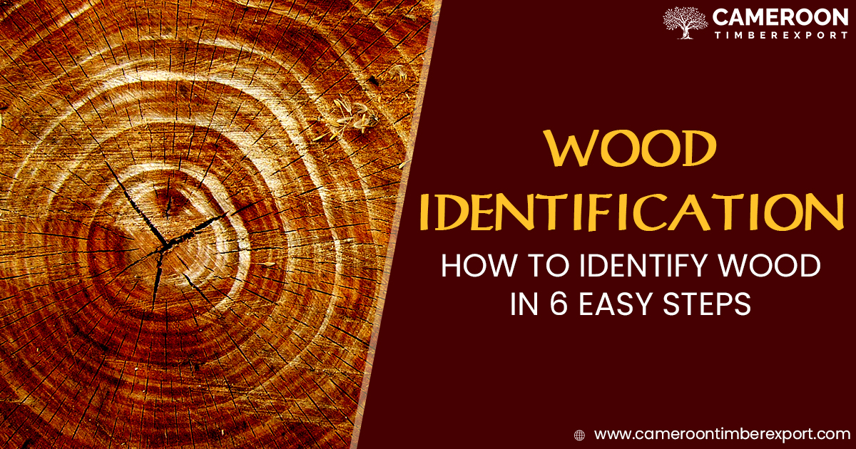 identity wood