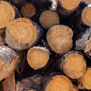 movingui wood logs