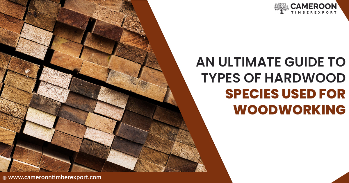 types of hardwood lumber