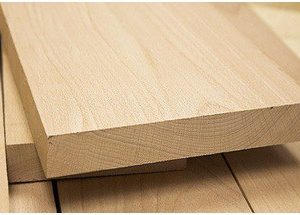 beech timber