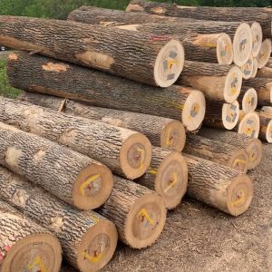 garapa wood