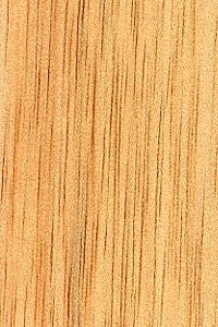 ilomba timber