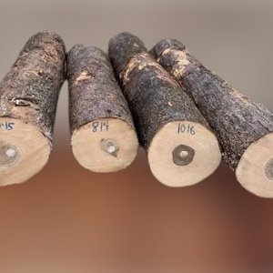 hickory wood