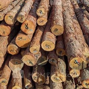 Larch Wood Logs