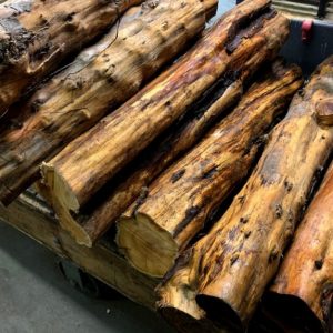yew wood